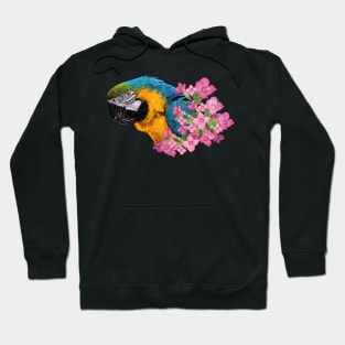 Blue and yellow macaw Hoodie